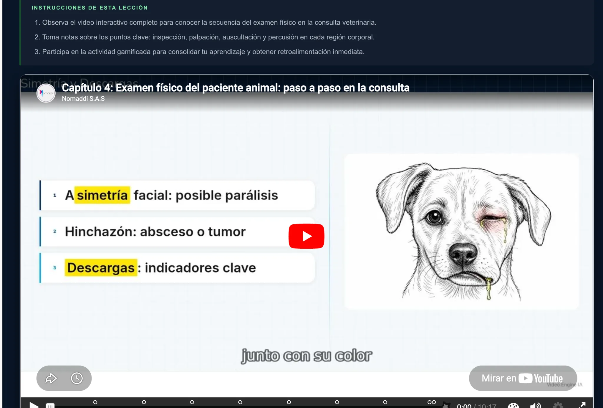 Video educativo de una lección: explicación visual guiada con ejemplos y apoyo narrativo por capítulo