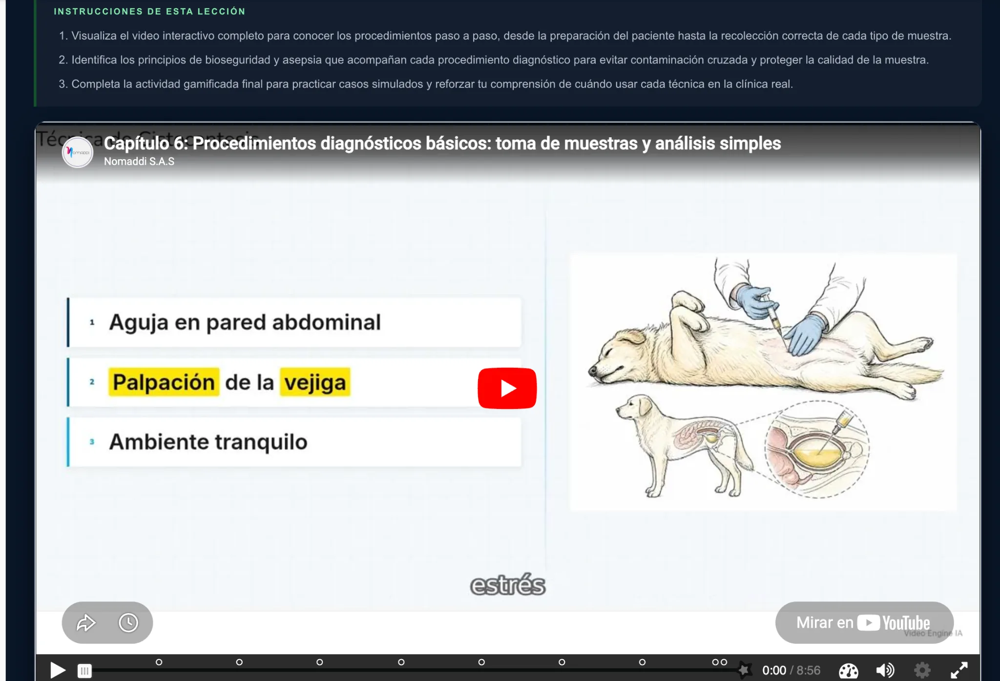 Video explicativo por capítulo: contenido audiovisual adaptado al tema específico del curso